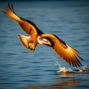 Crushing Talons