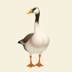 Waterproofed Plumage