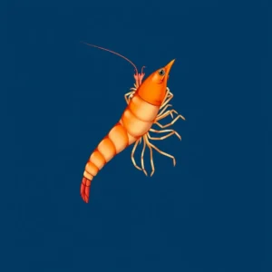 Sensory Antennae