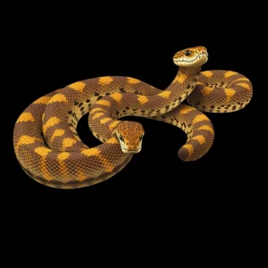 Ectothermic Temperature Behavior